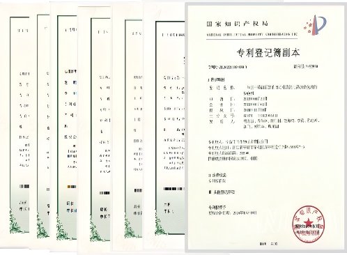 Dingco Biotechnology granted patents